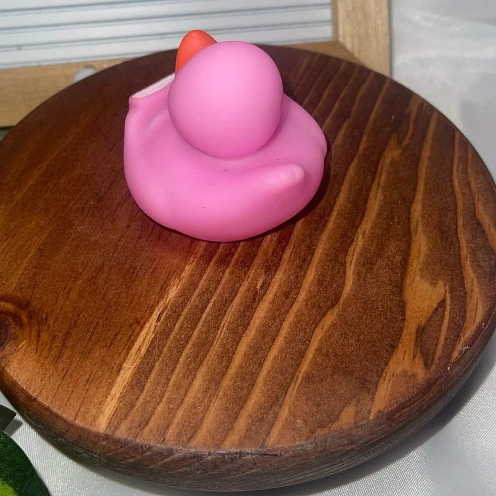 RUBBER DUCKY, JEEP DUCKZ, CRUISE DUCKS, KIDS TOYS, BATH TOYS, QUACKERS~BOOK WORM